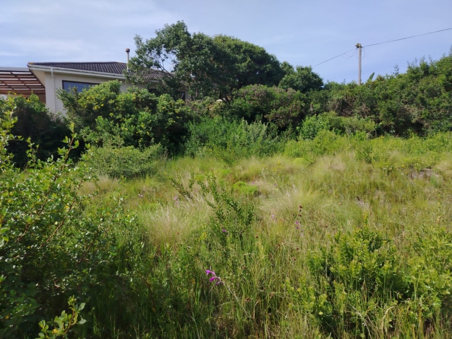 Commercial Property for Sale in Kingfisher Creek Western Cape